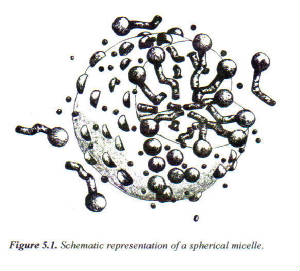 SphericalMicele.jpg